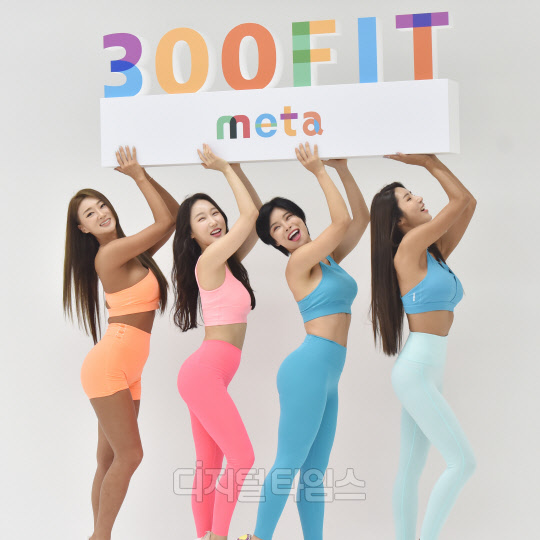 []ӽϾ --ڿ-ѳ `300FIT meta Կ ߾~`